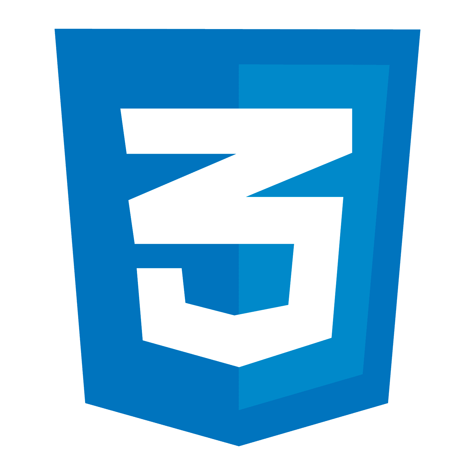 Css2 logo